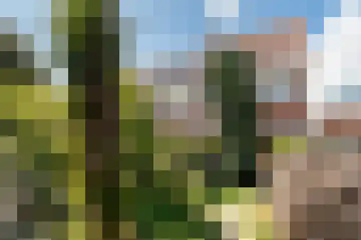 Vossiuslaan 69 Bussum thumbnail 22
