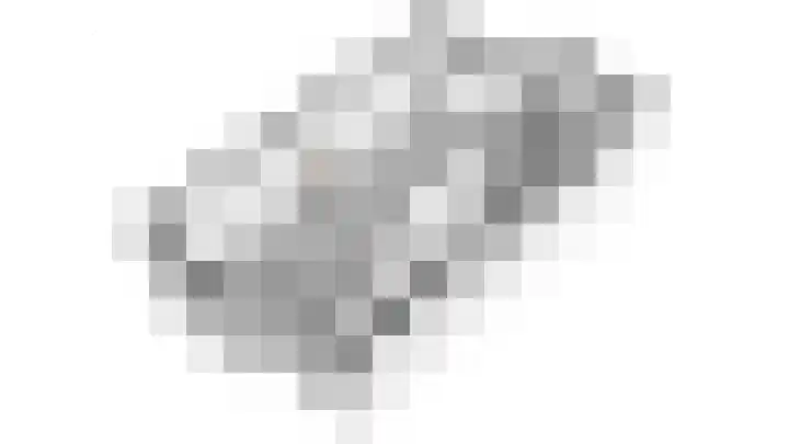 Vossiuslaan 69 Bussum thumbnail 26
