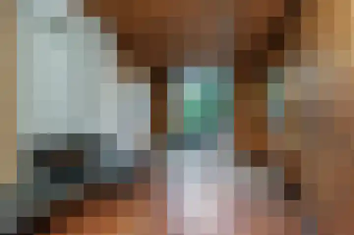 Vossiuslaan 69 Bussum thumbnail 5