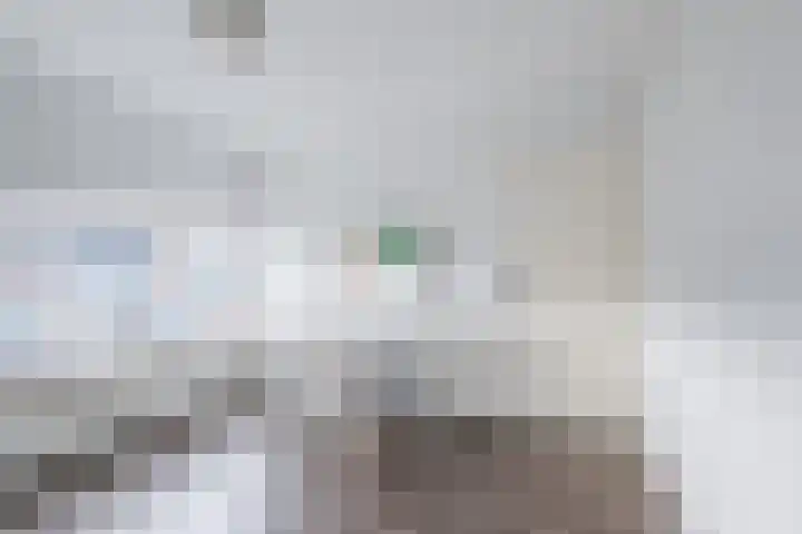 Vossiusstraat 10 Papendrecht thumbnail 12