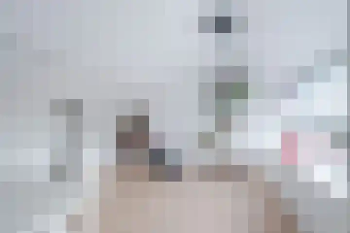Vossiusstraat 10 Papendrecht thumbnail 18