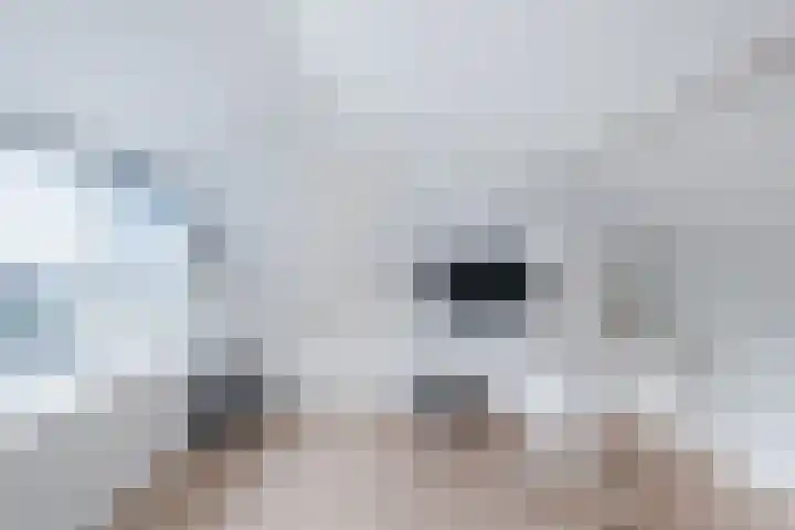 Vossiusstraat 10 Papendrecht thumbnail 19