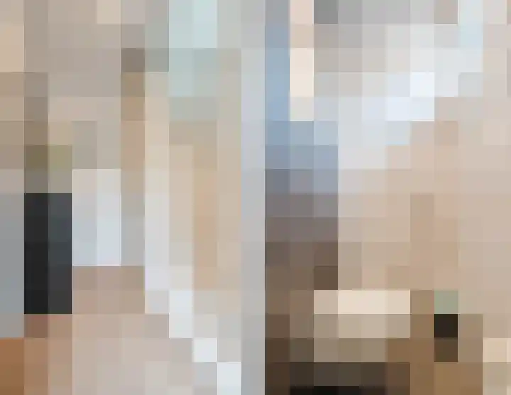 Vossiusstraat 10 Papendrecht thumbnail 7