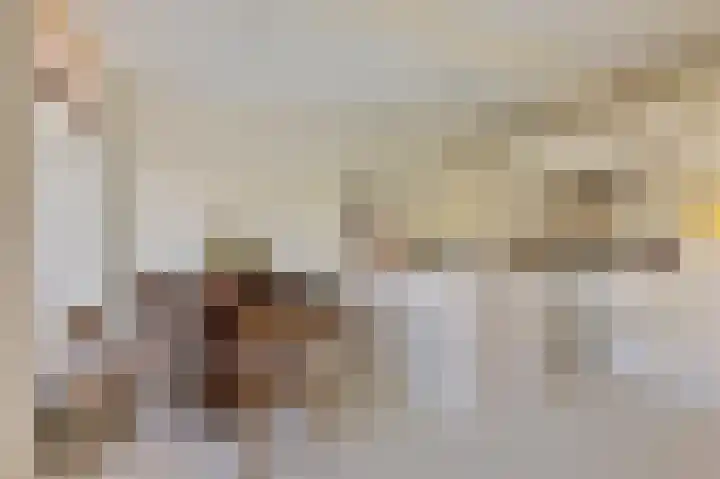 Vossiusstraat 13 D Amsterdam thumbnail 5