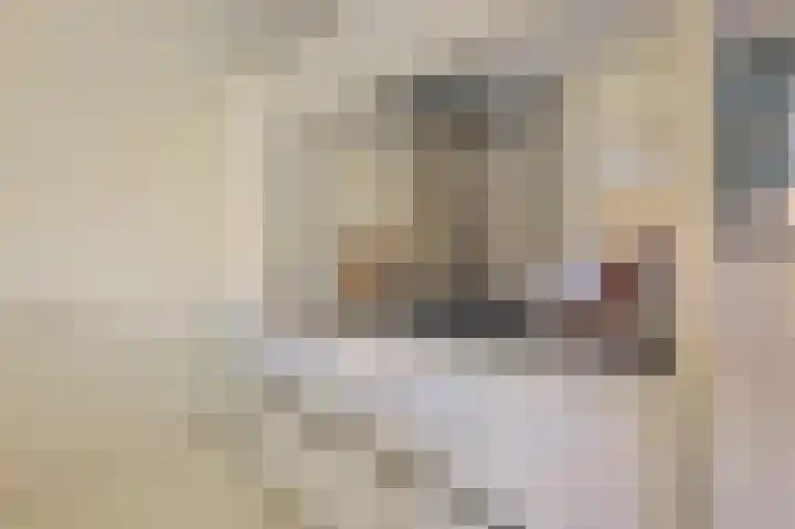 Vossiusstraat 13 D Amsterdam thumbnail 7