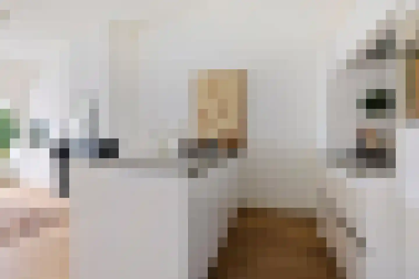 Vossiusstraat 13 E Amsterdam thumbnail 11