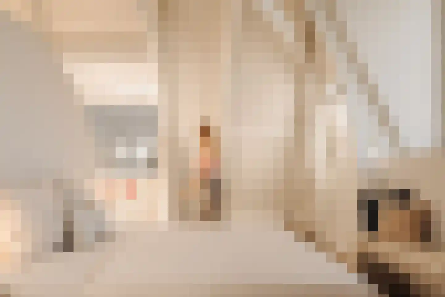 Vossiusstraat 17 D Amsterdam thumbnail 32