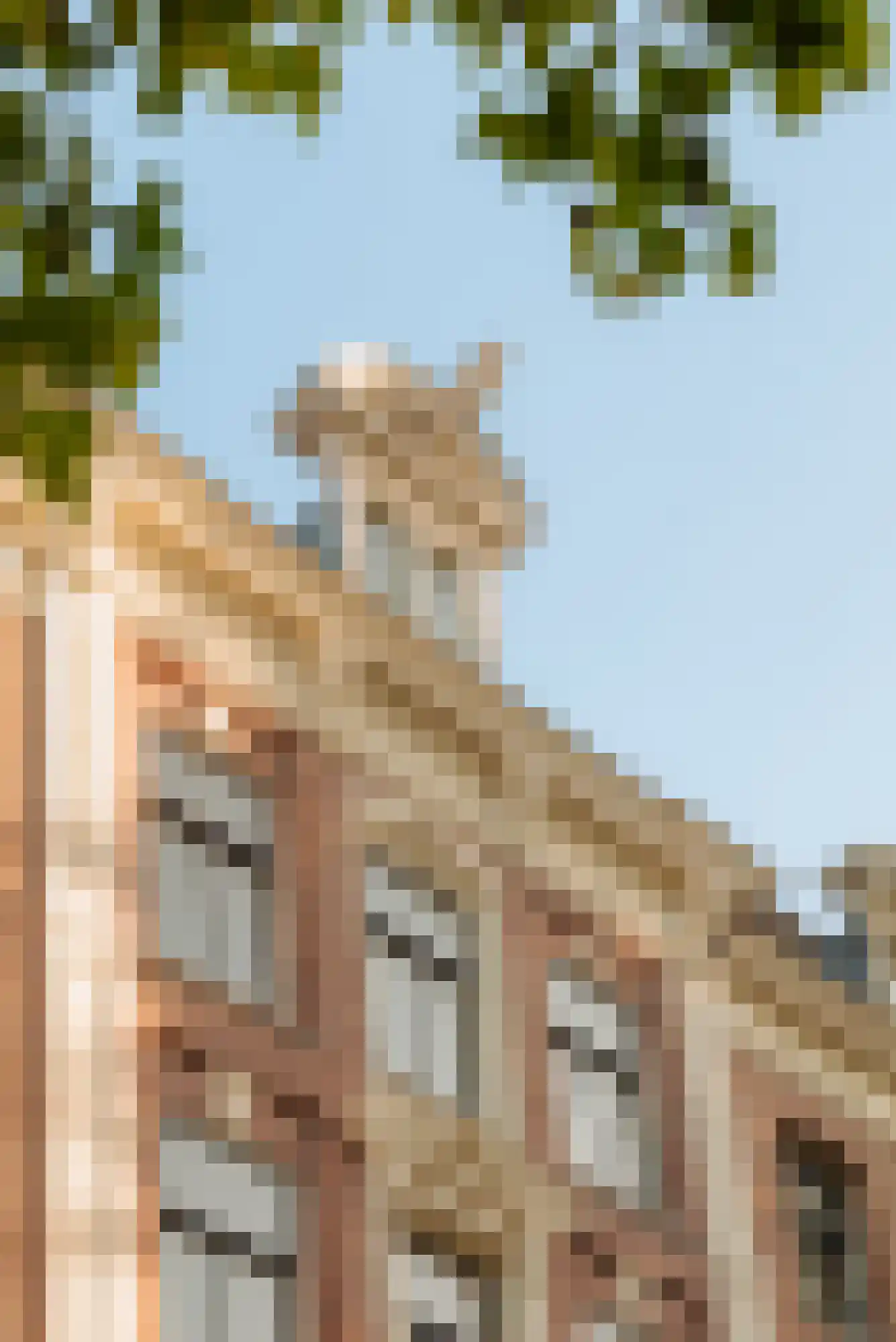 Vossiusstraat 17 D Amsterdam thumbnail 34