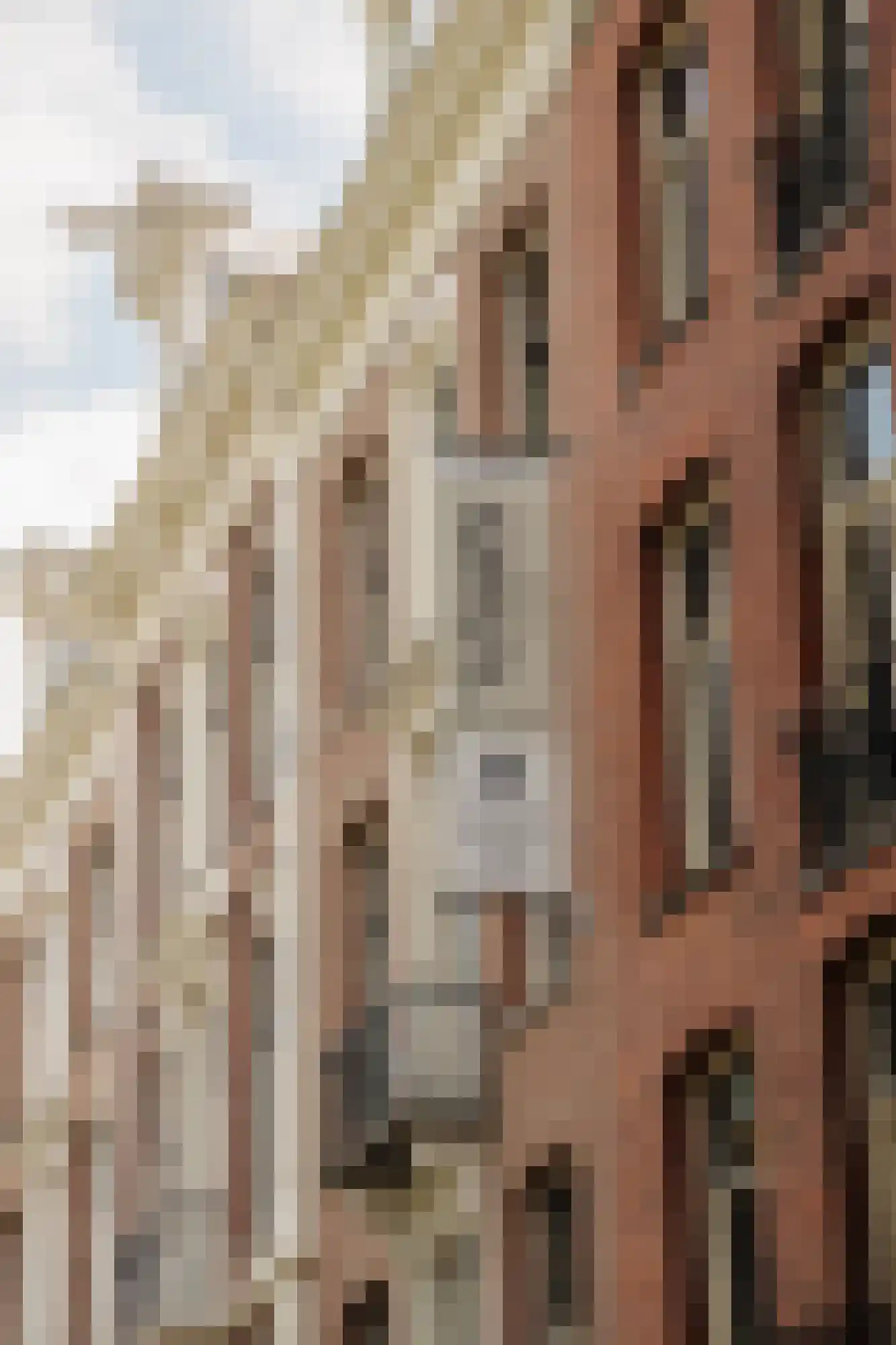 Vossiusstraat 18 2 Amsterdam thumbnail 24
