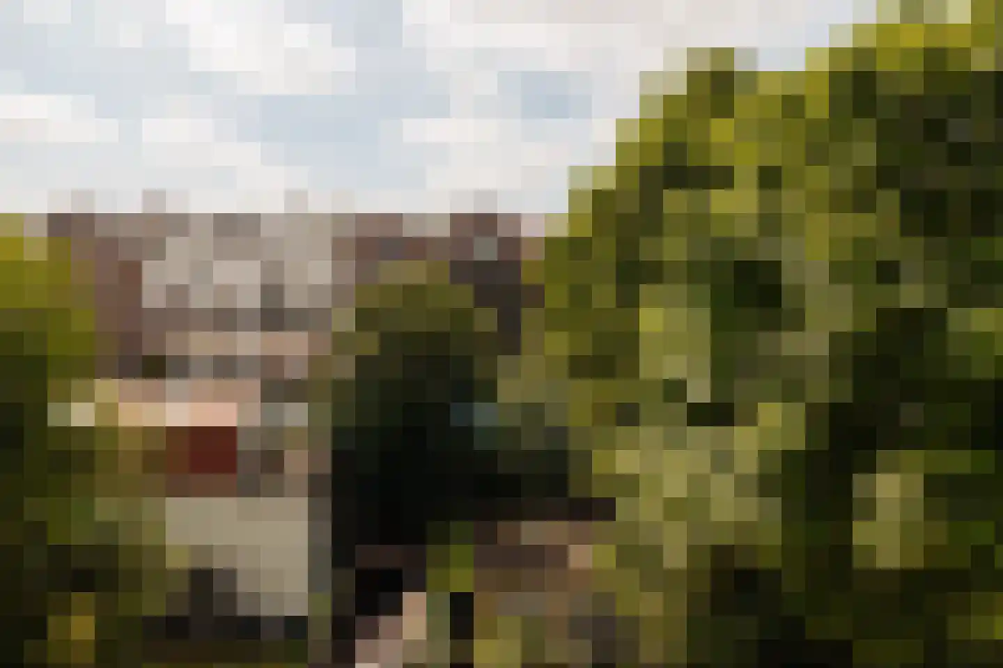 Vossiusstraat 18 3 Amsterdam thumbnail 15