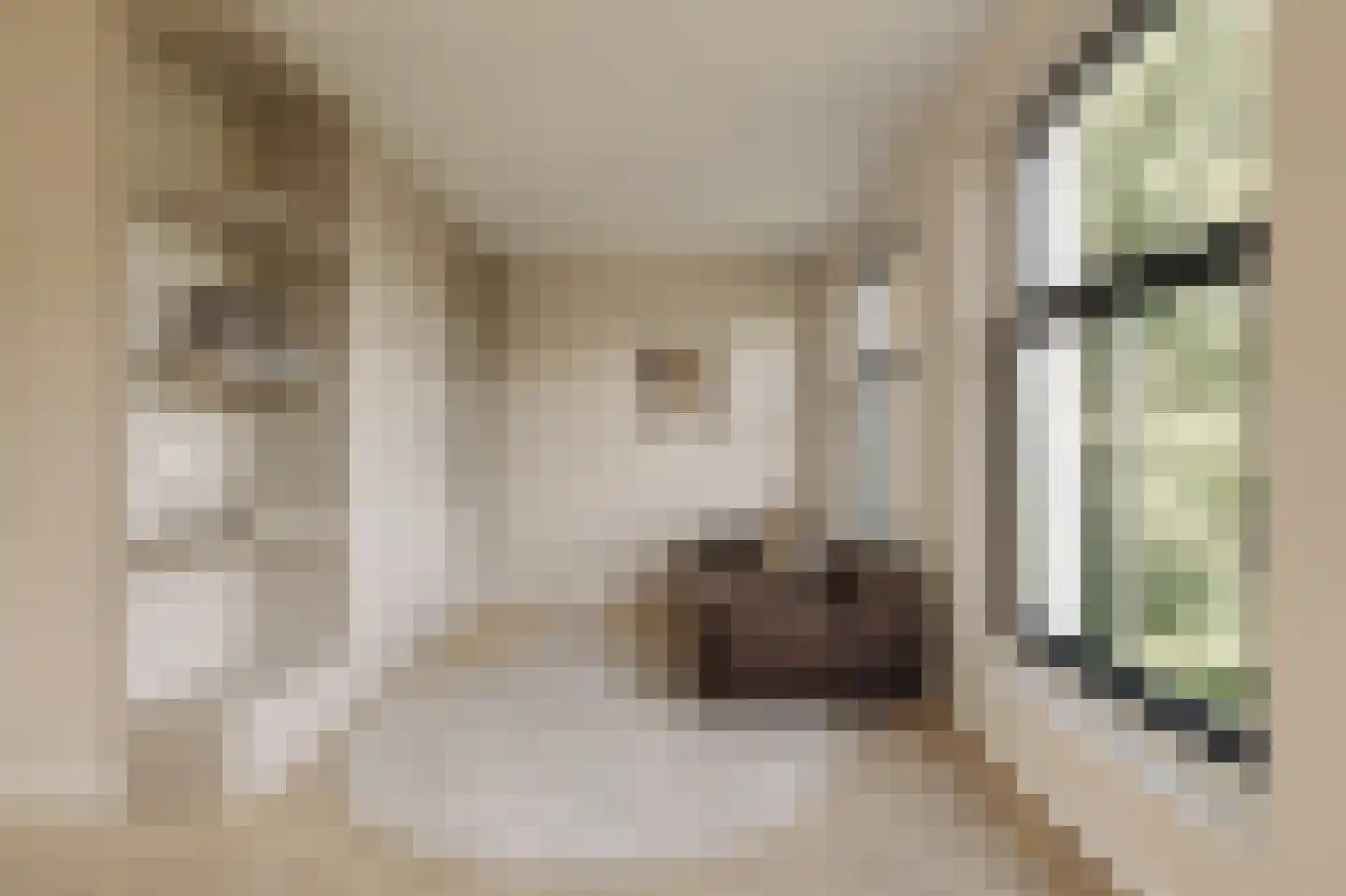 Vossiusstraat 18 3 Amsterdam thumbnail 8