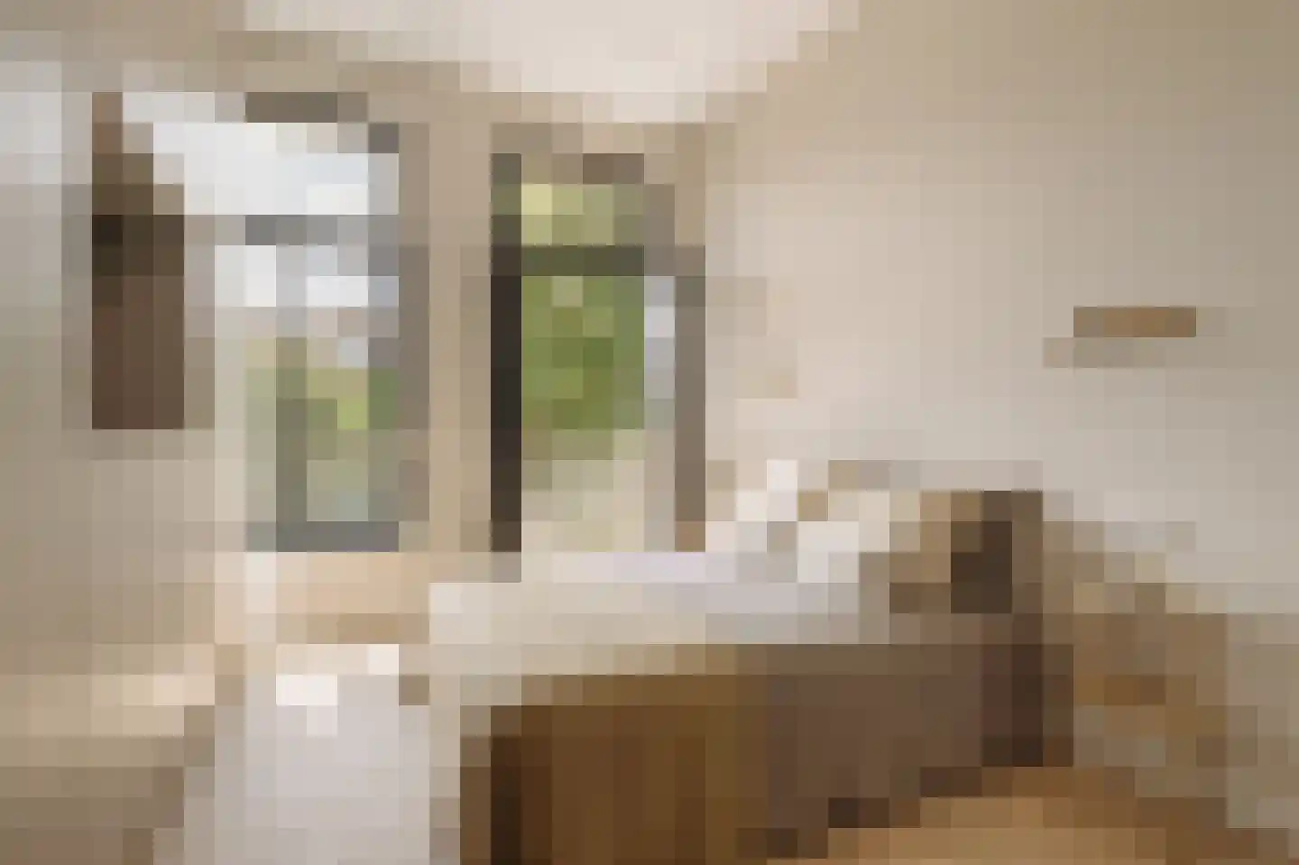 Vossiusstraat 18 H Amsterdam thumbnail 13