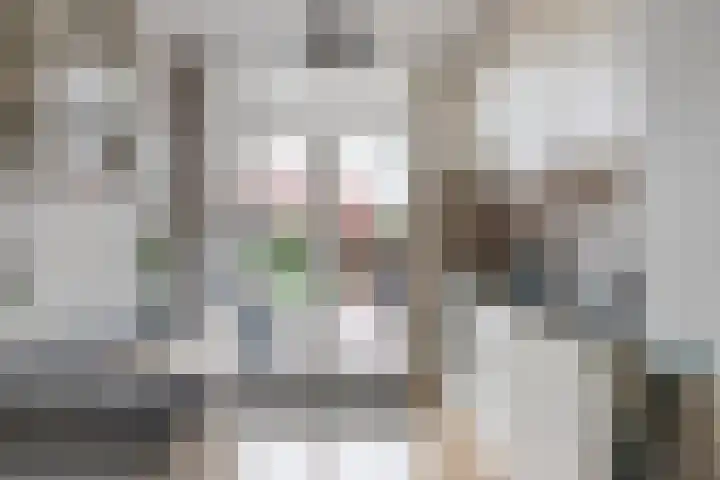 Vossiusstraat 2 Gouda thumbnail 4