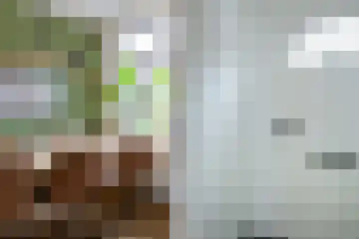 Vossiusstraat 2 Gouda thumbnail 8