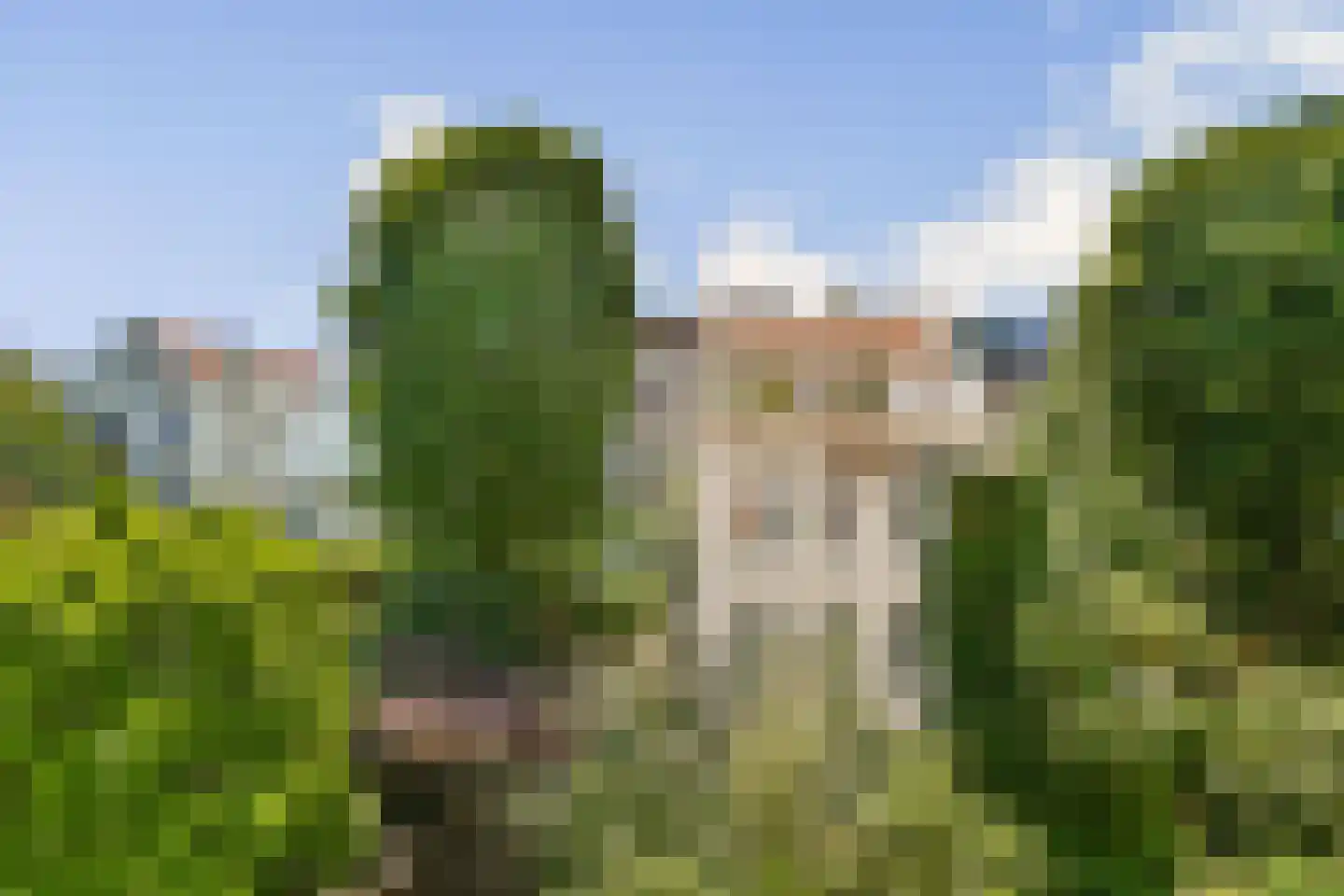 Vossiusstraat 26 C Amsterdam thumbnail 28