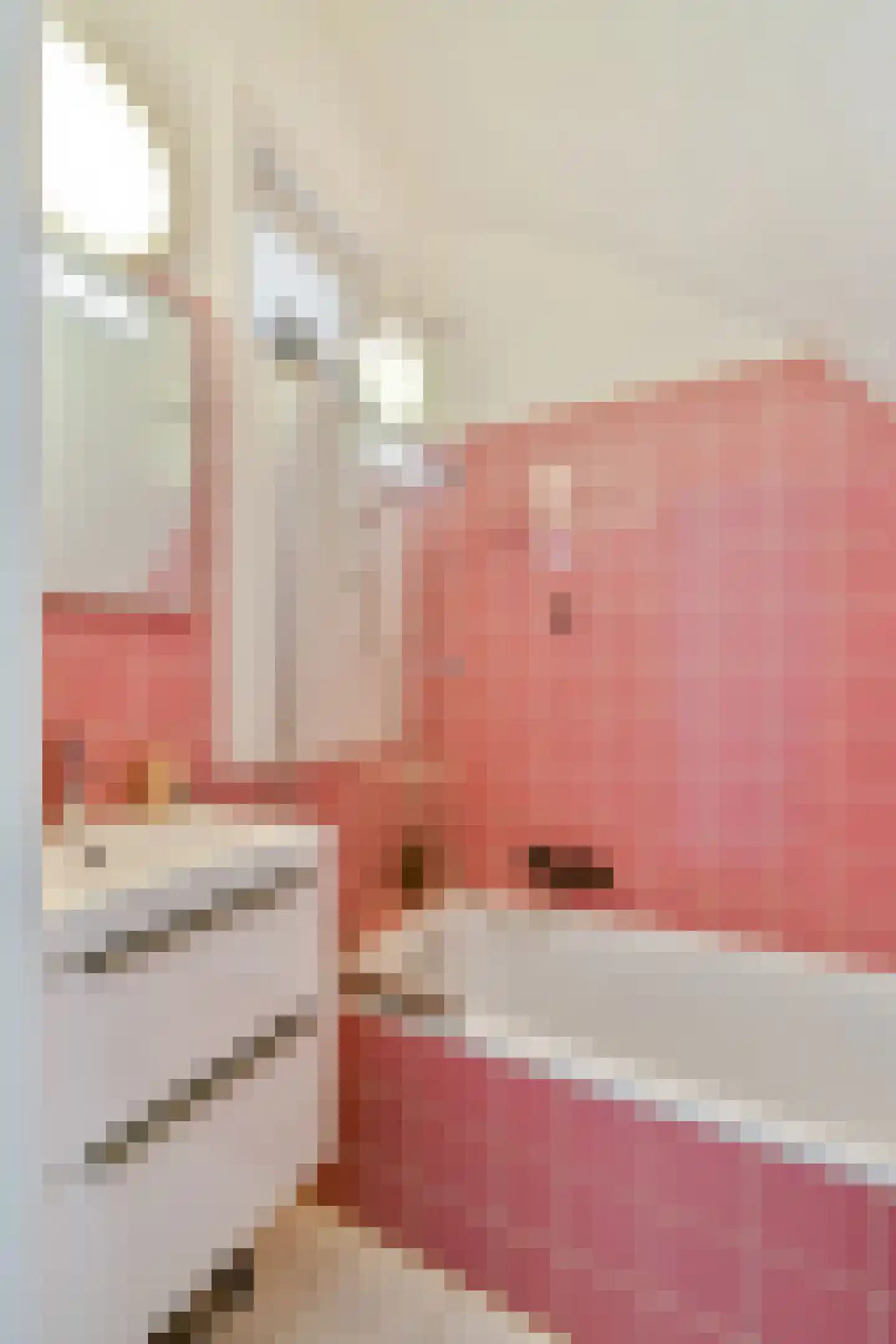 Vossiusstraat 27 2 Amsterdam thumbnail 19