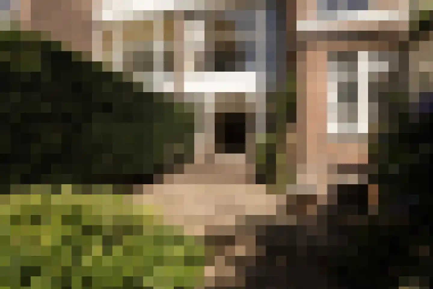 Vossiusstraat 28 H Amsterdam thumbnail 19