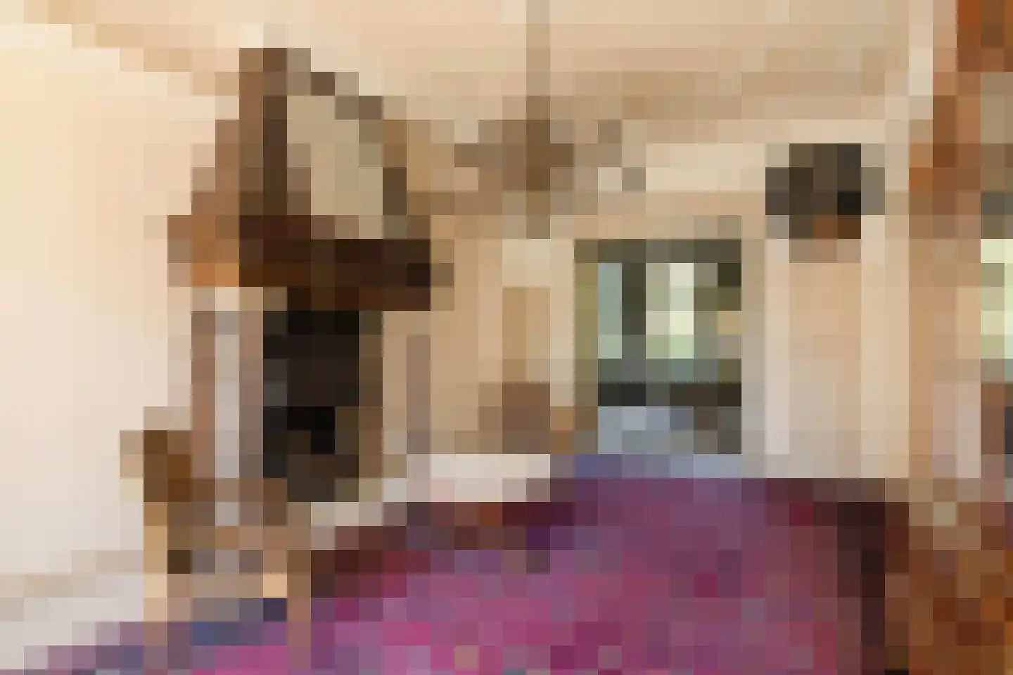 Vossiusstraat 28 H Amsterdam thumbnail 29