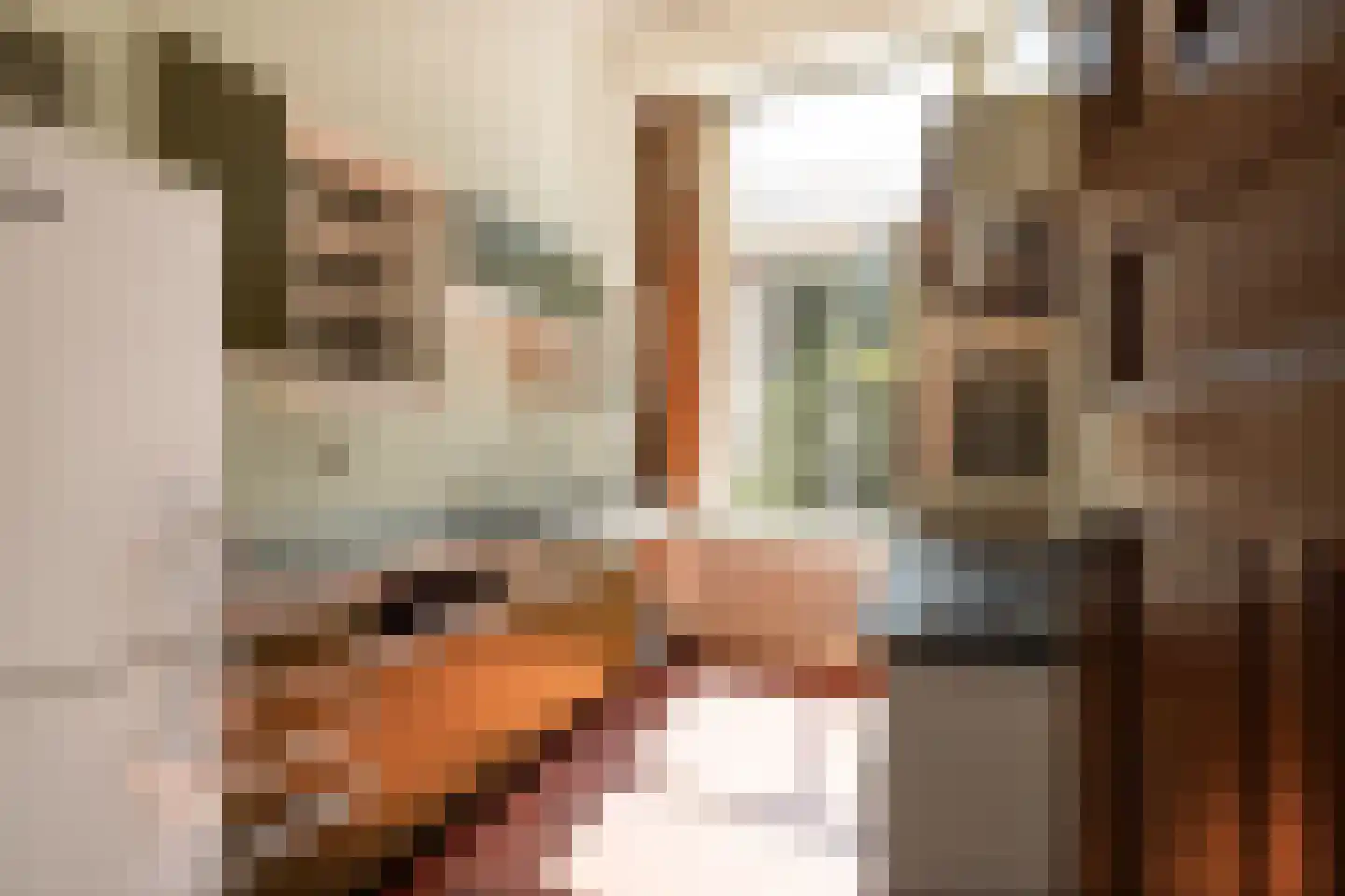Vossiusstraat 28 H Amsterdam thumbnail 32