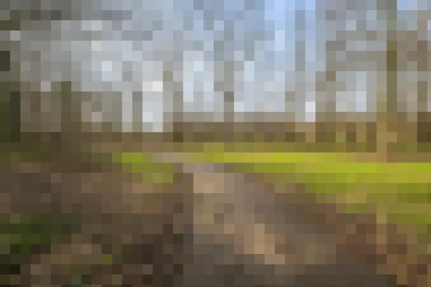 Vossiusstraat 28 Vlaardingen thumbnail 39
