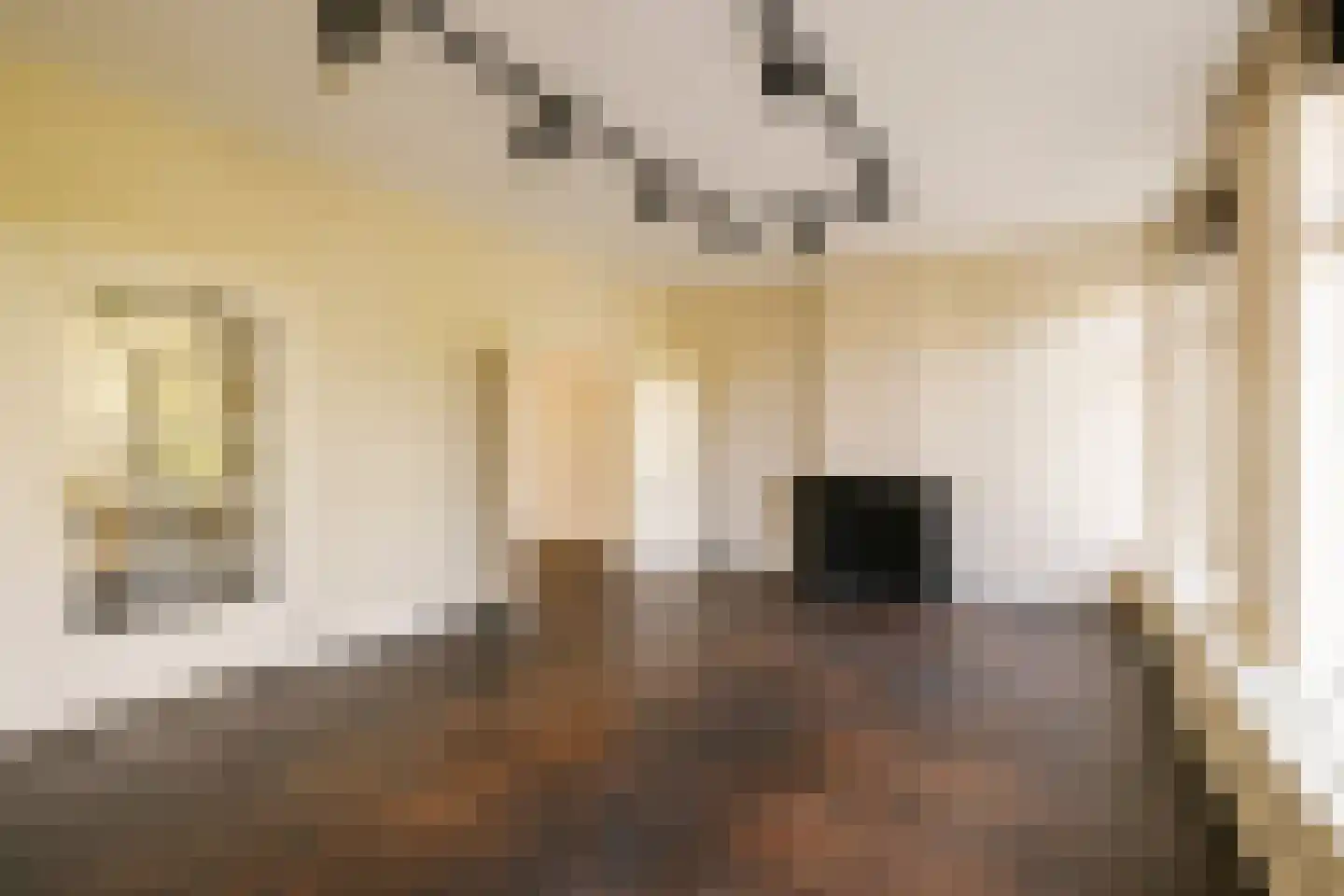 Vossiusstraat 3 4 Amsterdam thumbnail 11