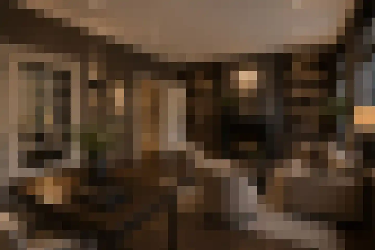 Vossiusstraat 3 4 Amsterdam thumbnail 12