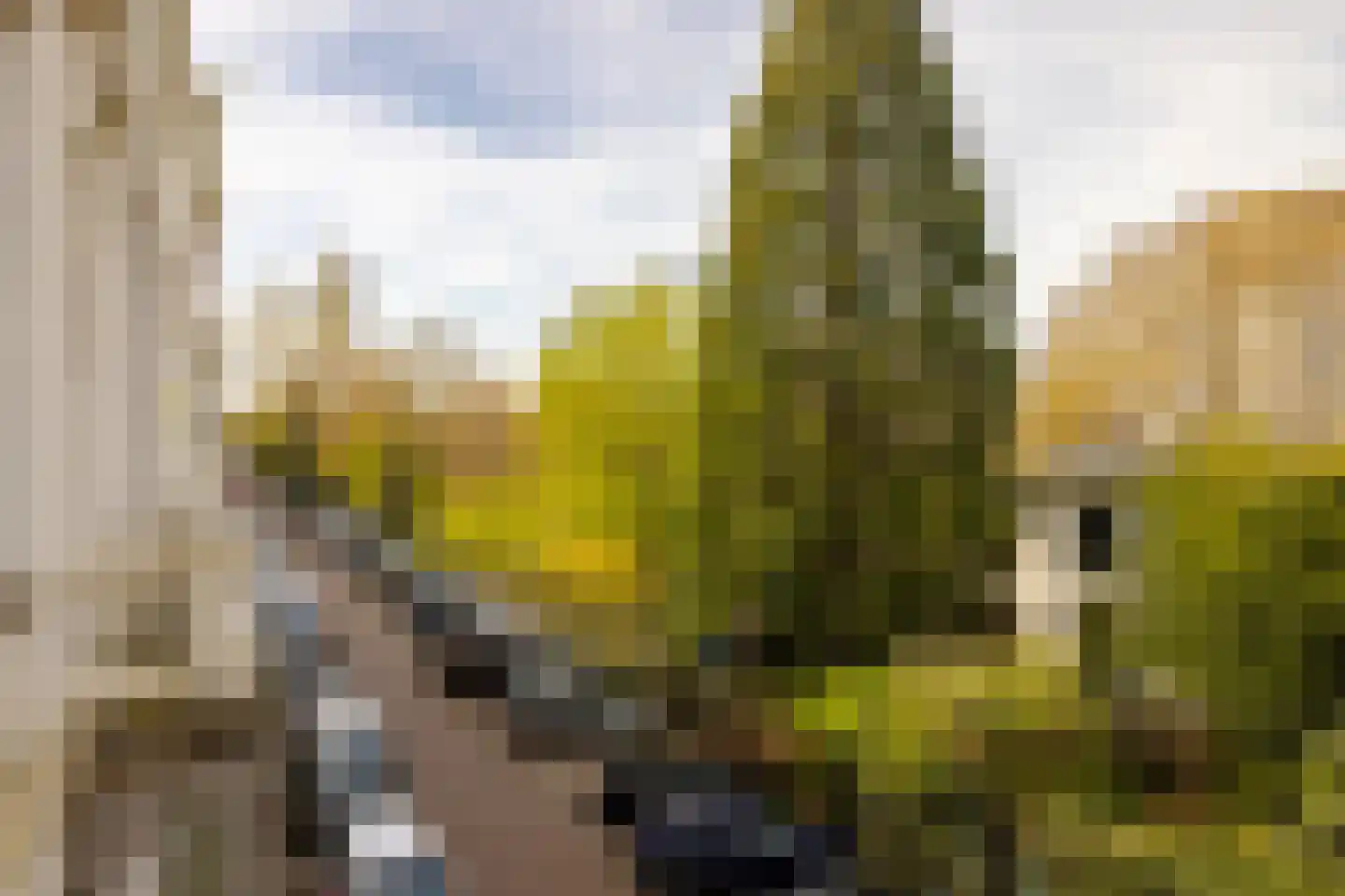 Vossiusstraat 3 4 Amsterdam thumbnail 19