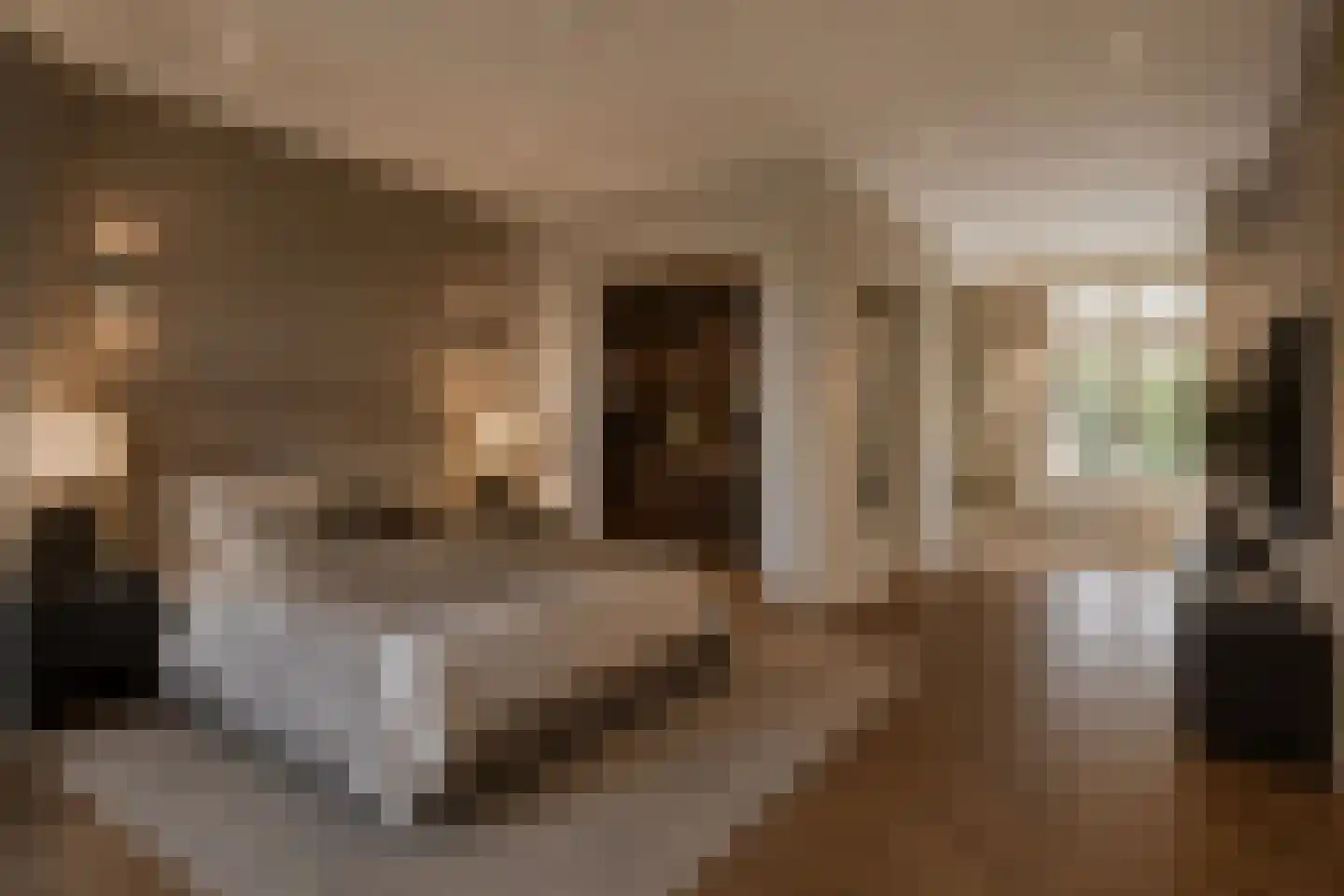 Vossiusstraat 3 4 Amsterdam thumbnail 32