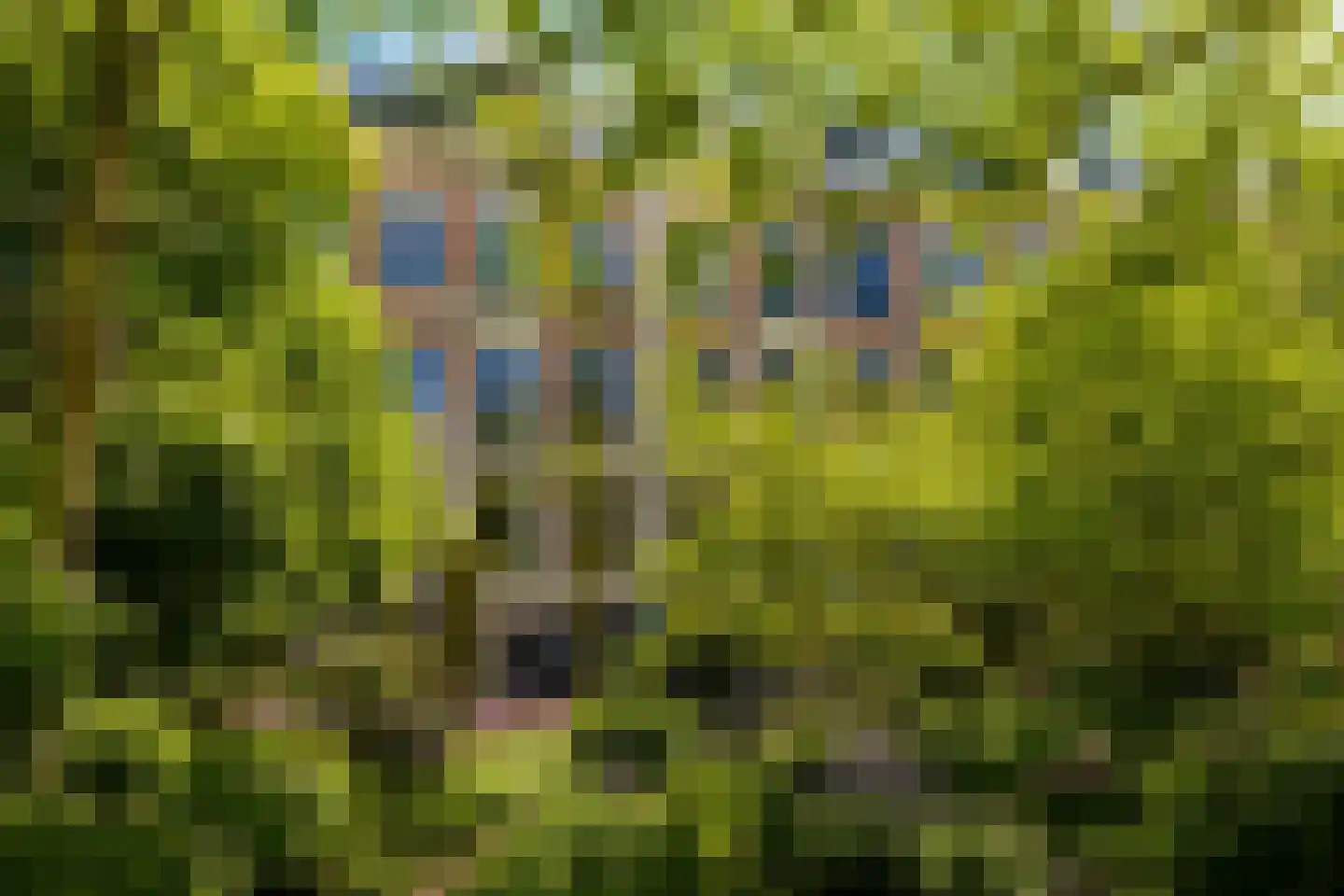 Vossiusstraat 3 4 Amsterdam thumbnail 38