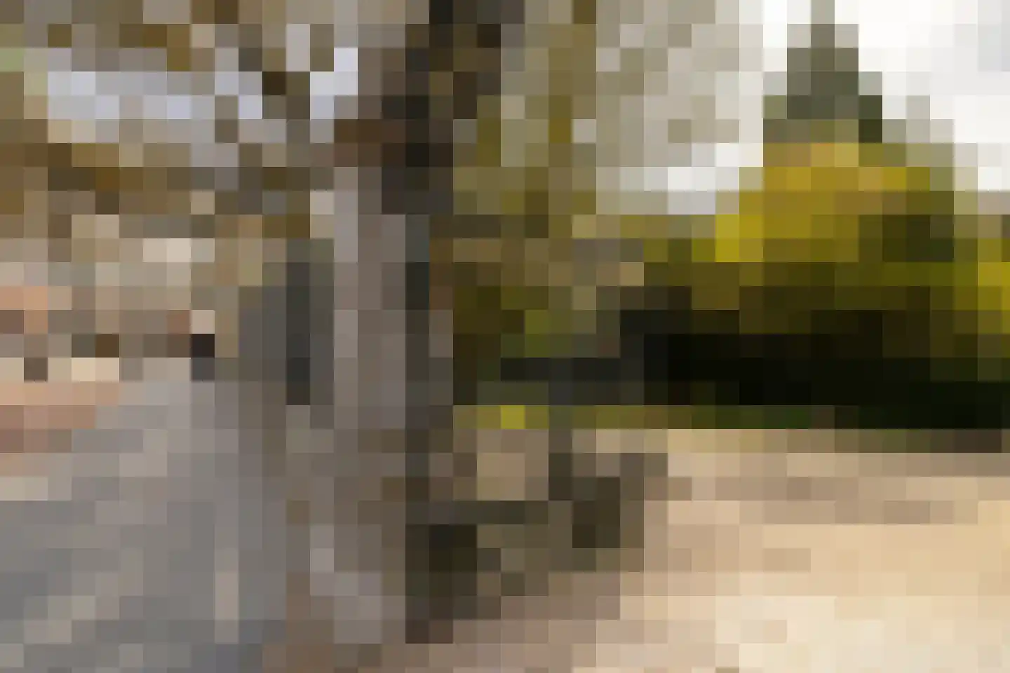 Vossiusstraat 3 4 Amsterdam thumbnail 39