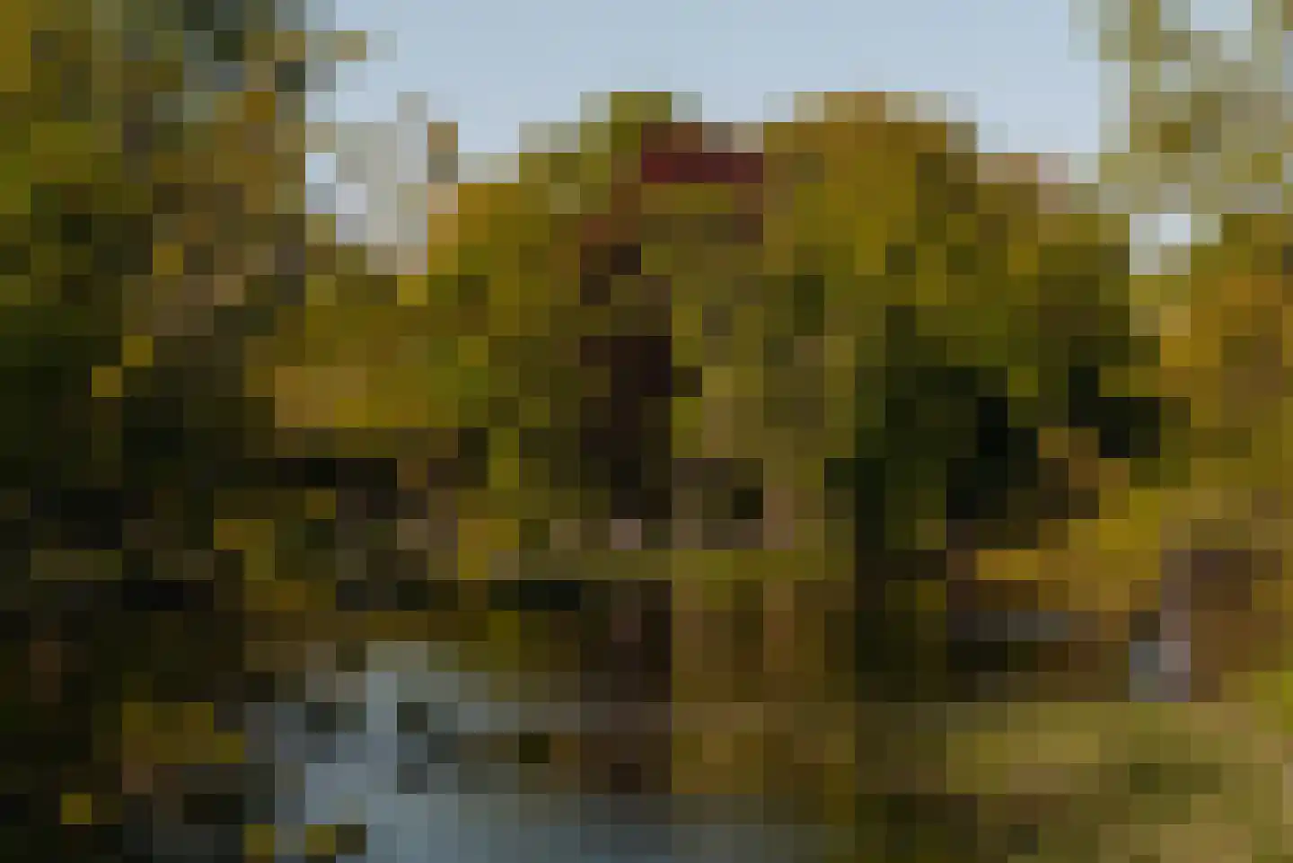 Vossiusstraat 3 4 Amsterdam thumbnail 40