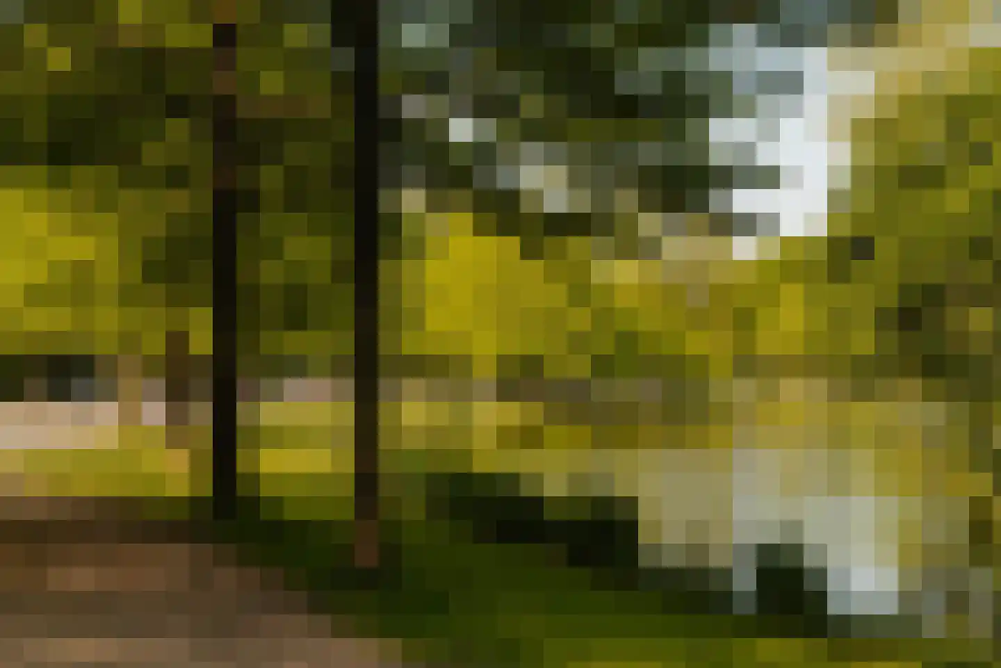 Vossiusstraat 3 4 Amsterdam thumbnail 41