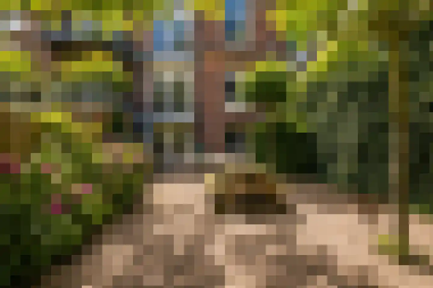 Vossiusstraat 3 4 Amsterdam thumbnail 8