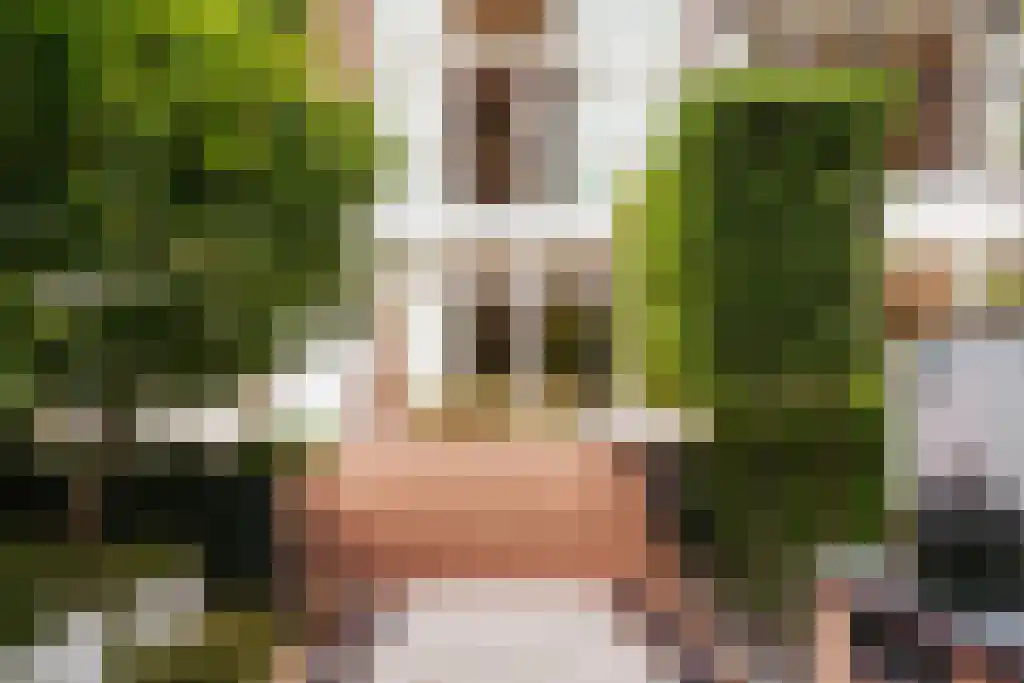 Vossiusstraat 31 2 Amsterdam thumbnail 18