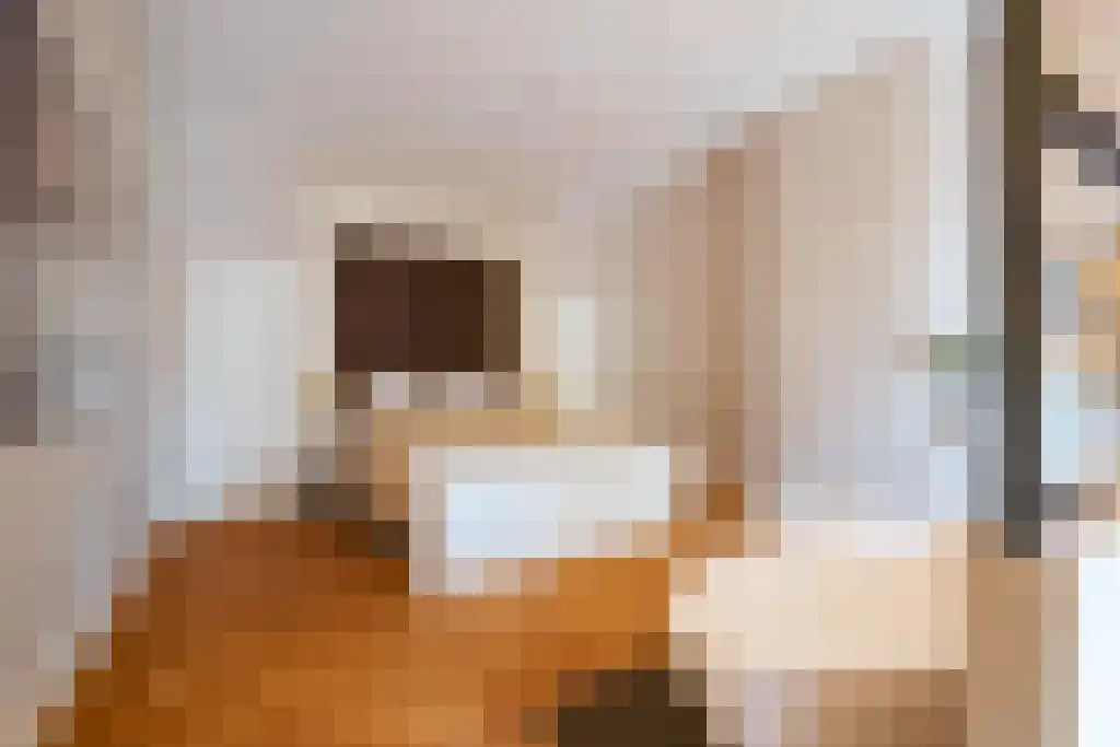 Vossiusstraat 31 2 Amsterdam thumbnail 44