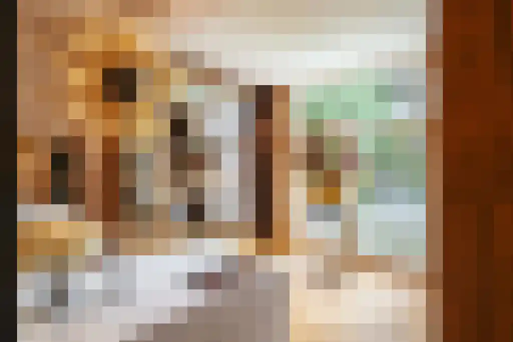 Vossiusstraat 31 2 Amsterdam thumbnail 50