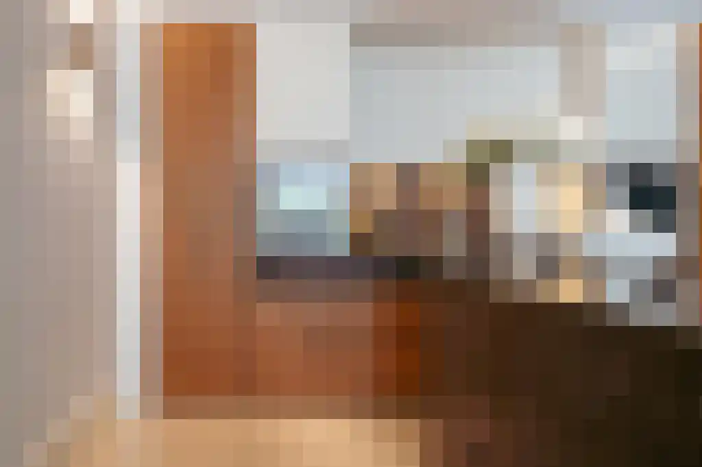 Vossiusstraat 31 2 Amsterdam thumbnail 9