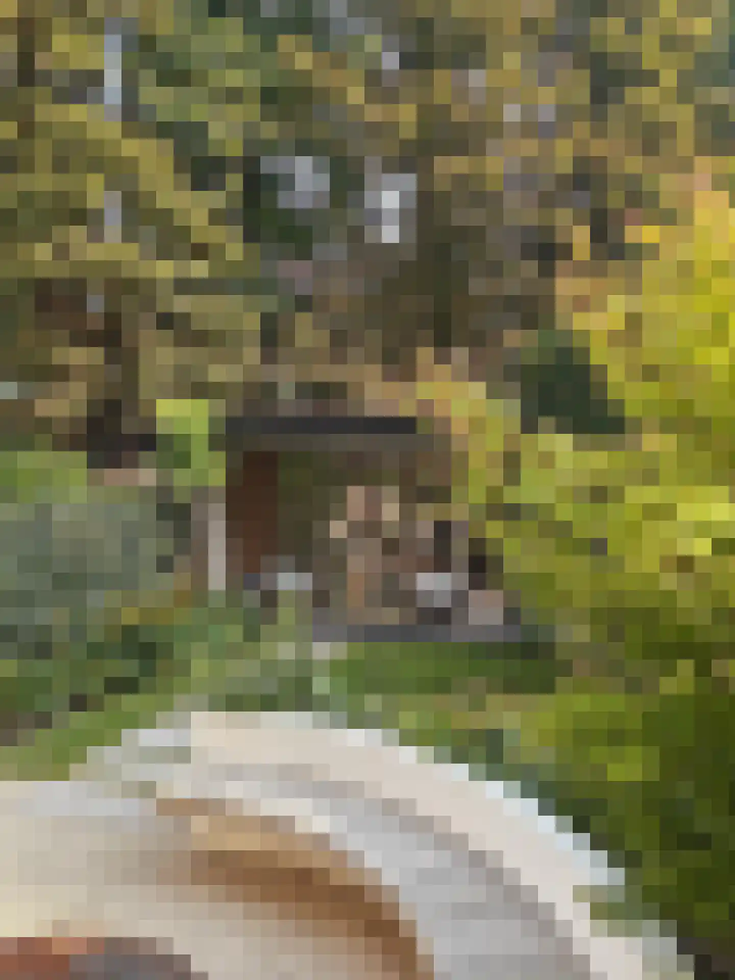 Vossiusstraat 39 H Amsterdam thumbnail 10