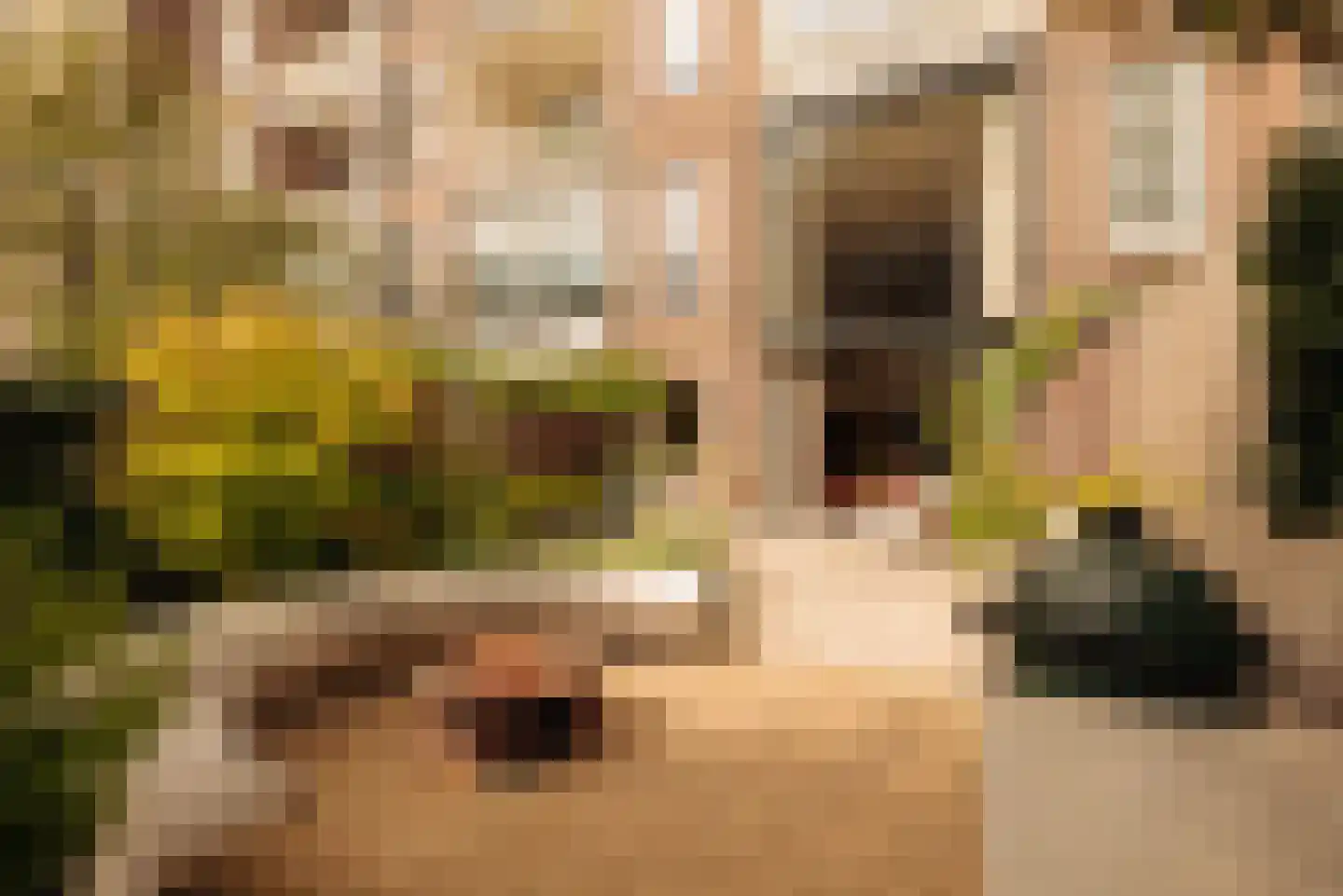 Vossiusstraat 39 H Amsterdam thumbnail 22