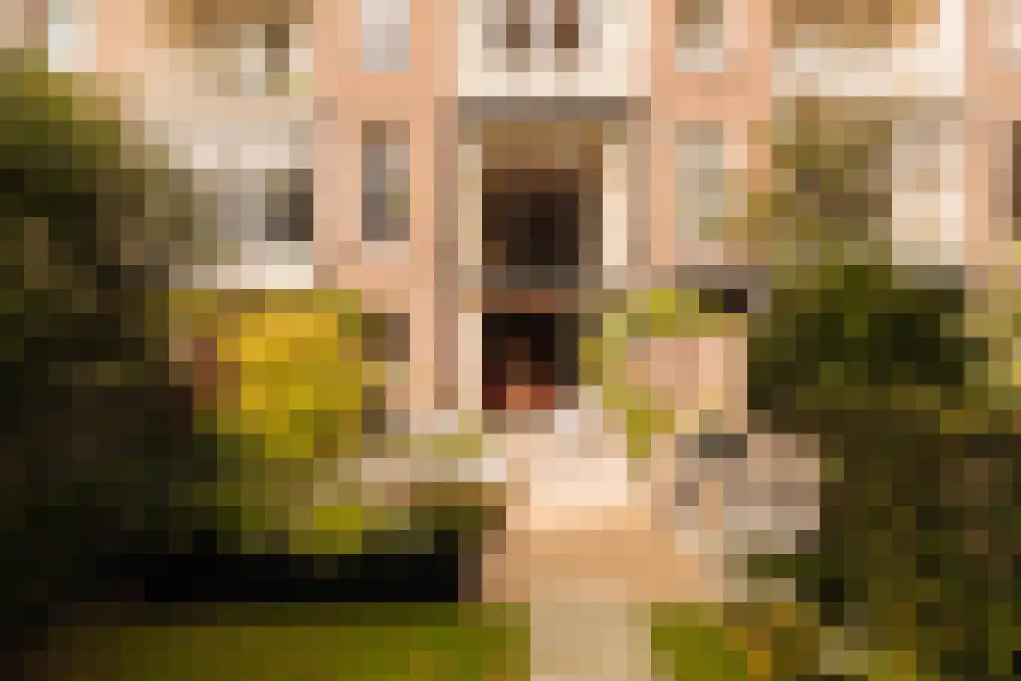 Vossiusstraat 39 H Amsterdam thumbnail 27