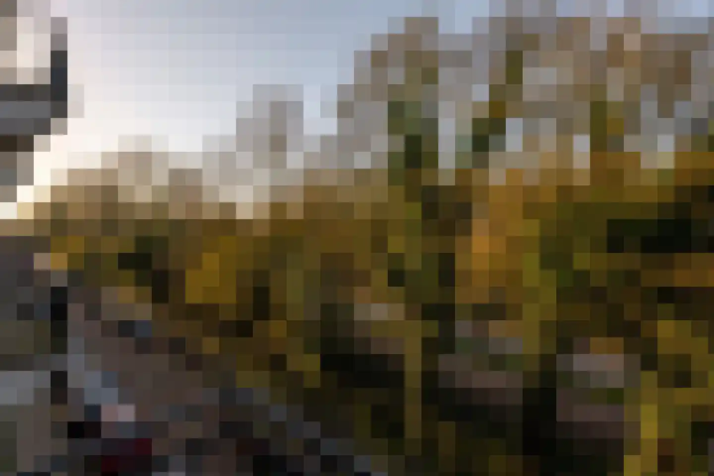 Vossiusstraat 39 H Amsterdam thumbnail 31
