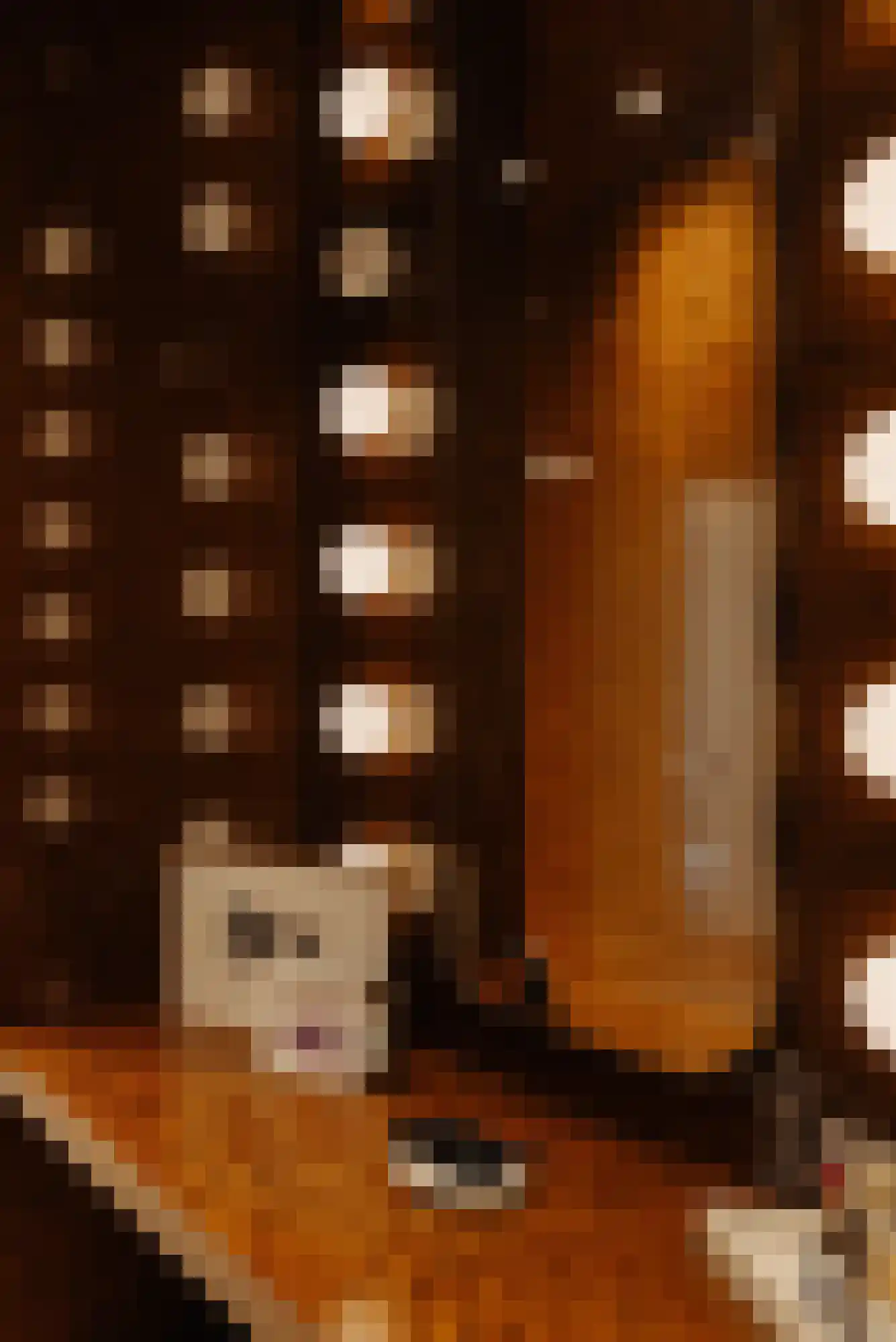 Vossiusstraat 39 H Amsterdam thumbnail 50