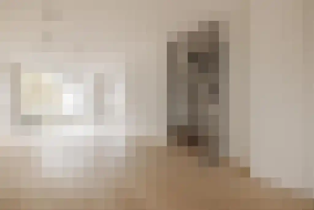 Vossiusstraat 44 2 Amsterdam thumbnail 4