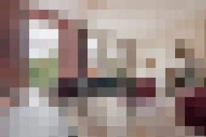 Vossiusstraat 44 H Amsterdam thumbnail 29