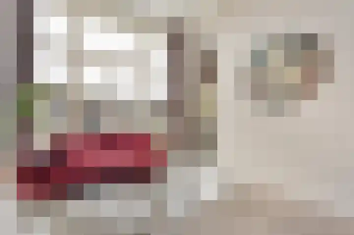 Vossiusstraat 44 H Amsterdam thumbnail 9