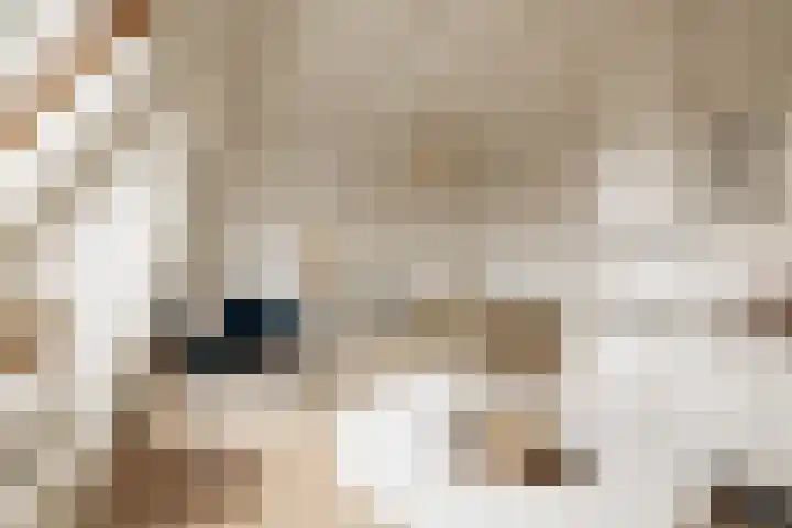 Vossiusstraat 48 2 Amsterdam thumbnail 5