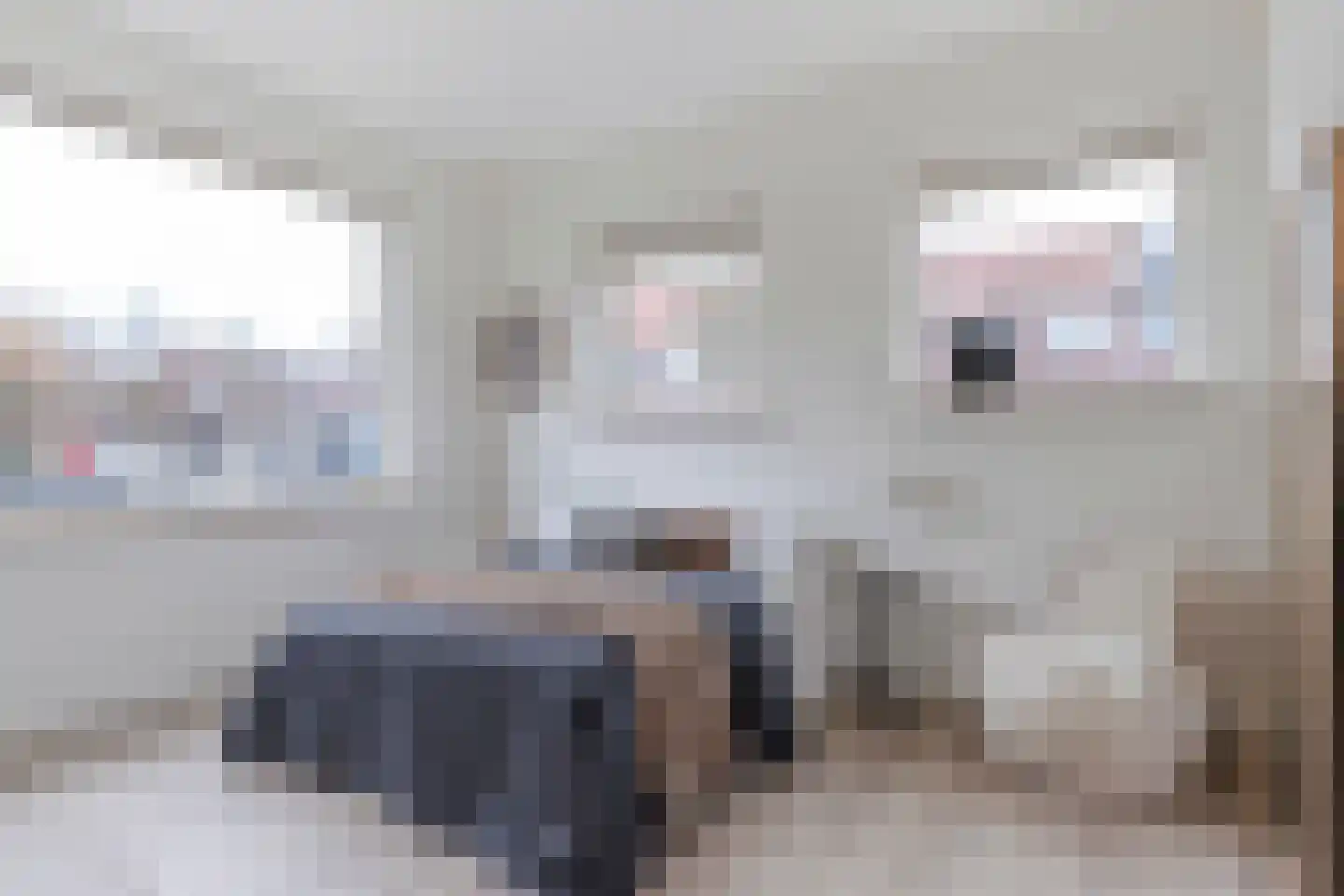 Vossiusstraat 48 Gouda thumbnail 20