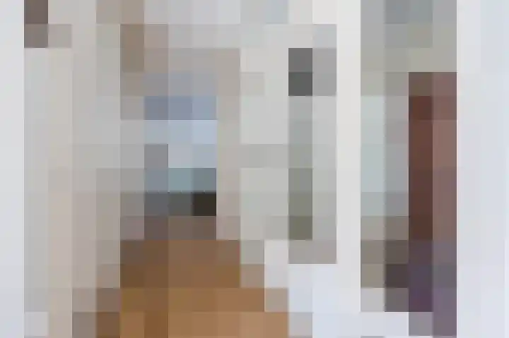 Vossiusstraat 5 Papendrecht thumbnail 16