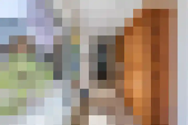 Vossiusstraat 5 Papendrecht thumbnail 18