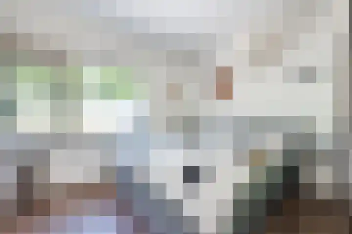 Vossiusstraat 5 Papendrecht thumbnail 21